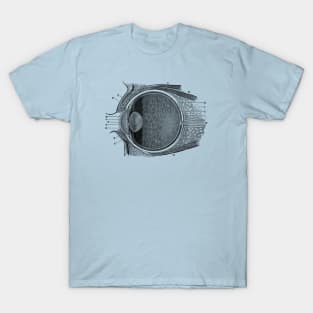 Unlabeled Eye Anatomy Diagram - Vintage Anatomy T-Shirt